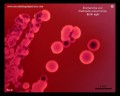 e.coli, klebsiella on Endo